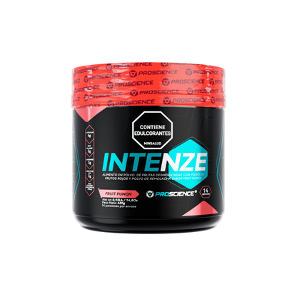 INTENZE 14 SERVICIOS